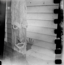 Black and white photo of a silly tree face.