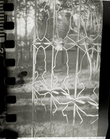Black and white film samples taken with a Compass Camera. The left, a silly tree face. The right, part of a fish trellis.